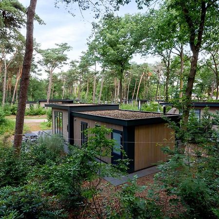 Forestlodge In Het Vechtdal - 5 Persoons Hardenberg Eksteriør bilde